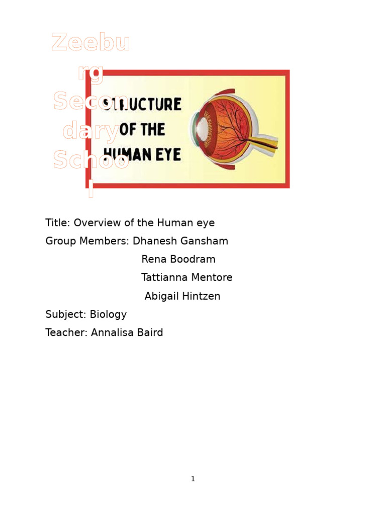 Biology Presentation The Human Eye | PDF | Myopia | Eye