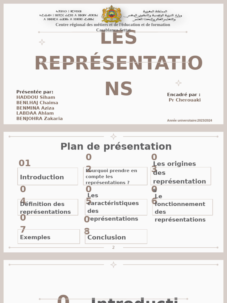 Représentations en Didactique des Sciences | PDF