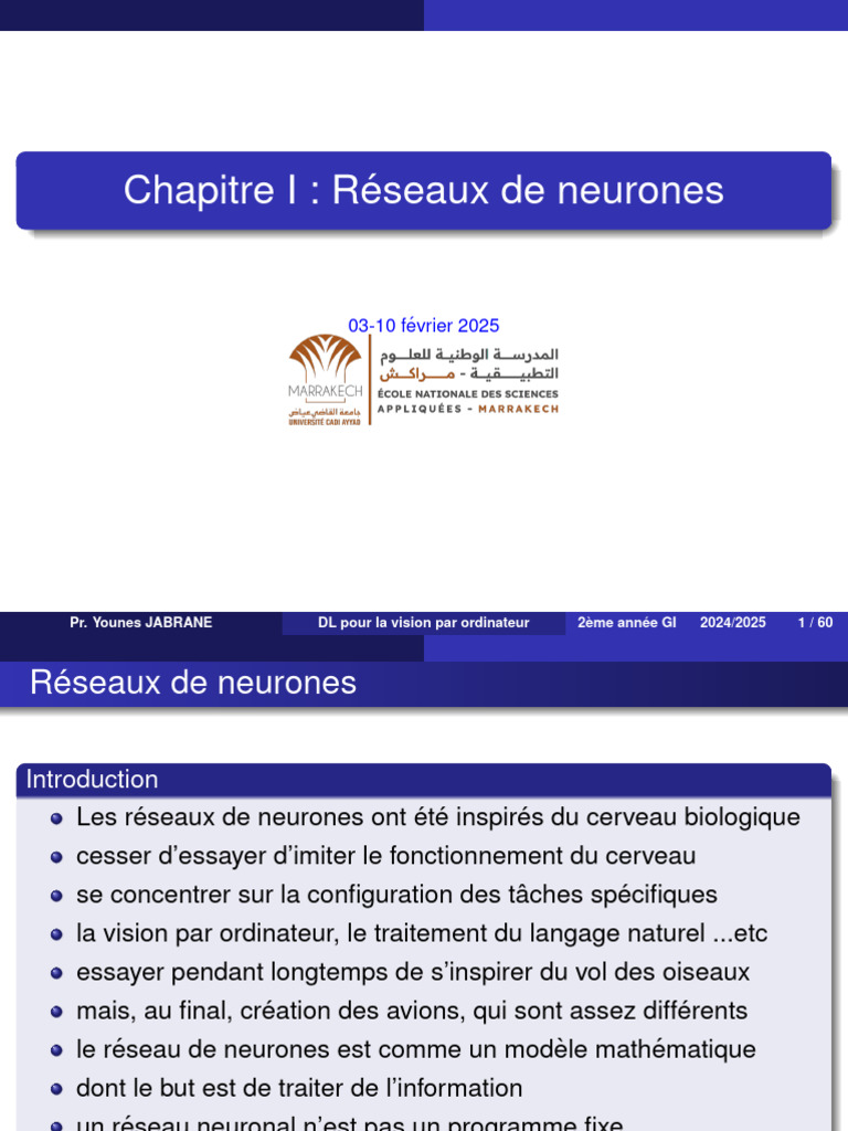 Introduction aux réseaux de neurones | PDF | Mathématiques appliqués