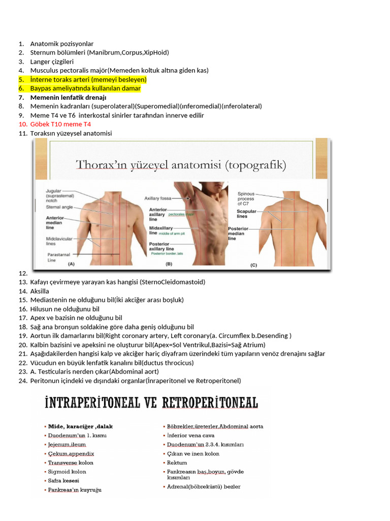 Anatomi̇ 1 | PDF