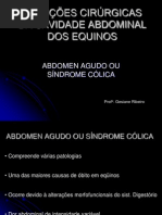 laparotomia exploratória equinos