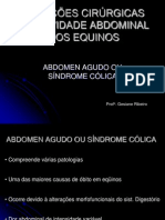 Abordagem cirúrgica da síndrome cólica equina