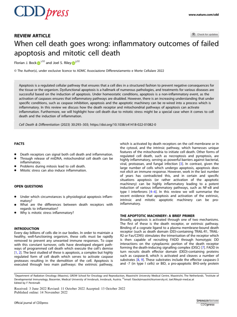 Inflammatory Outcomes of Cell Death | PDF | Apoptosis | Mitochondrion