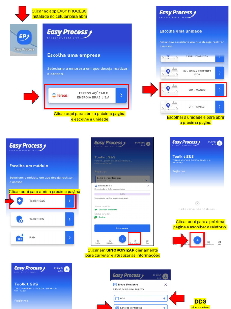 Guia para Uso do App Easy Process | PDF