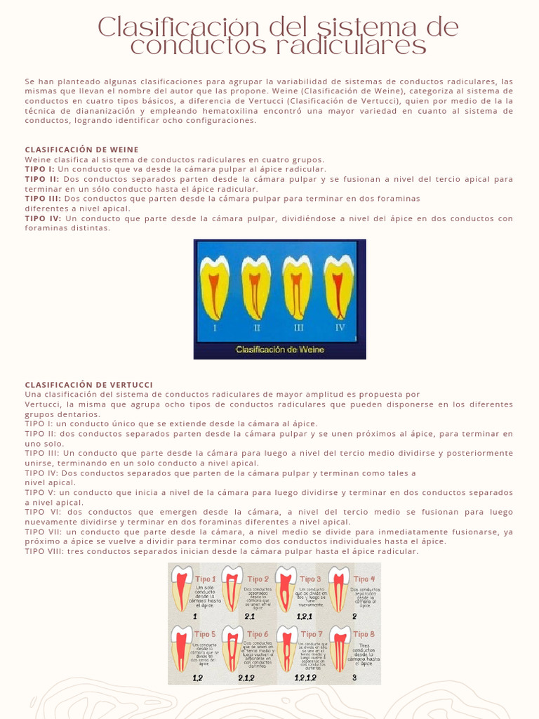 Clasificación de Vertucci y Weine en Endodoncia | PDF