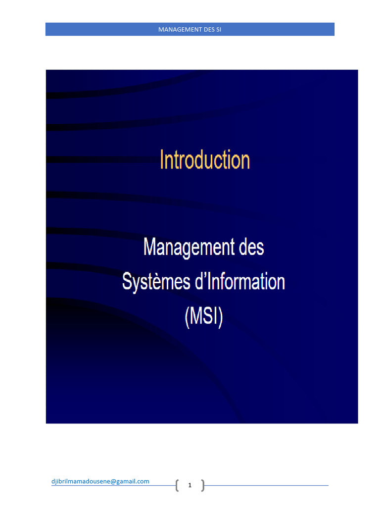 Introduction Msi | PDF