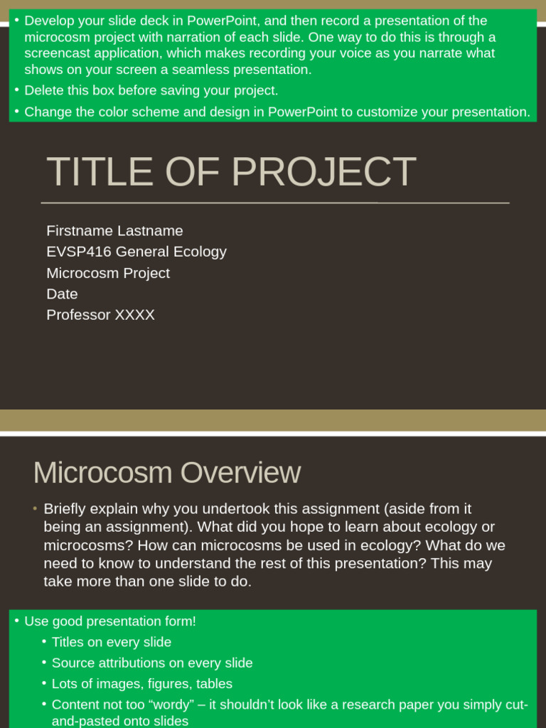 Microcosm Project Presentation Guide | PDF | Citation | Scientific Method