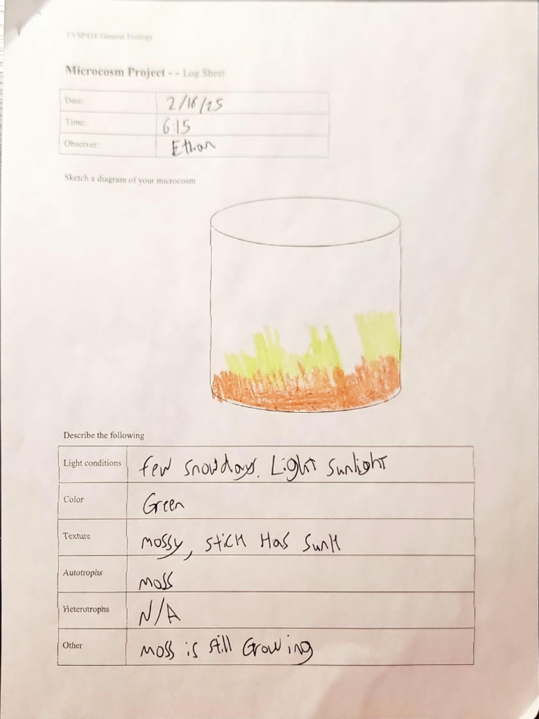 Microcosm Project Logs | PDF