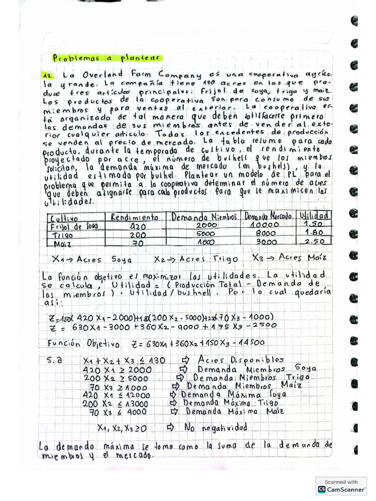 36NuñezAlejandro-PROBLEMAS A RESOLVER | PDF