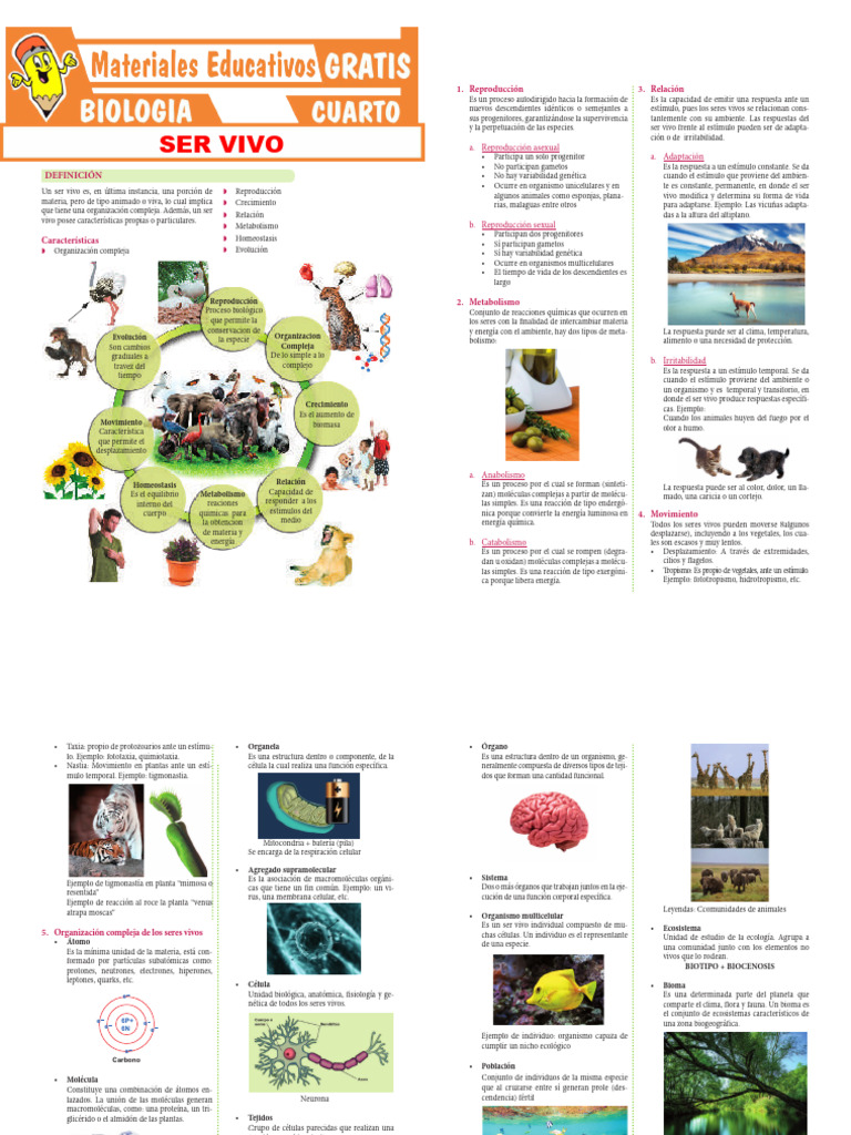 Características de los Seres Vivos | PDF | Reproducción | Organismos