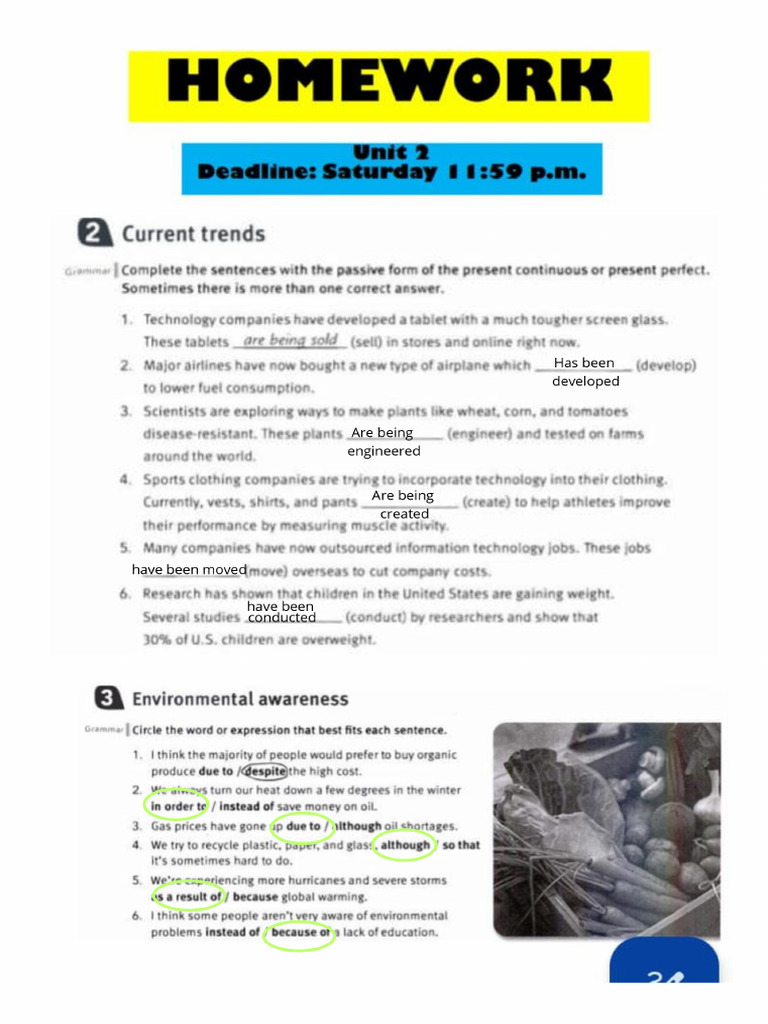 HW 2 SOLVED | PDF