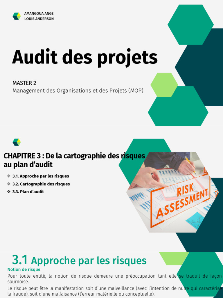 Cartographie des risques en audit de projet | PDF | Risque | Audit