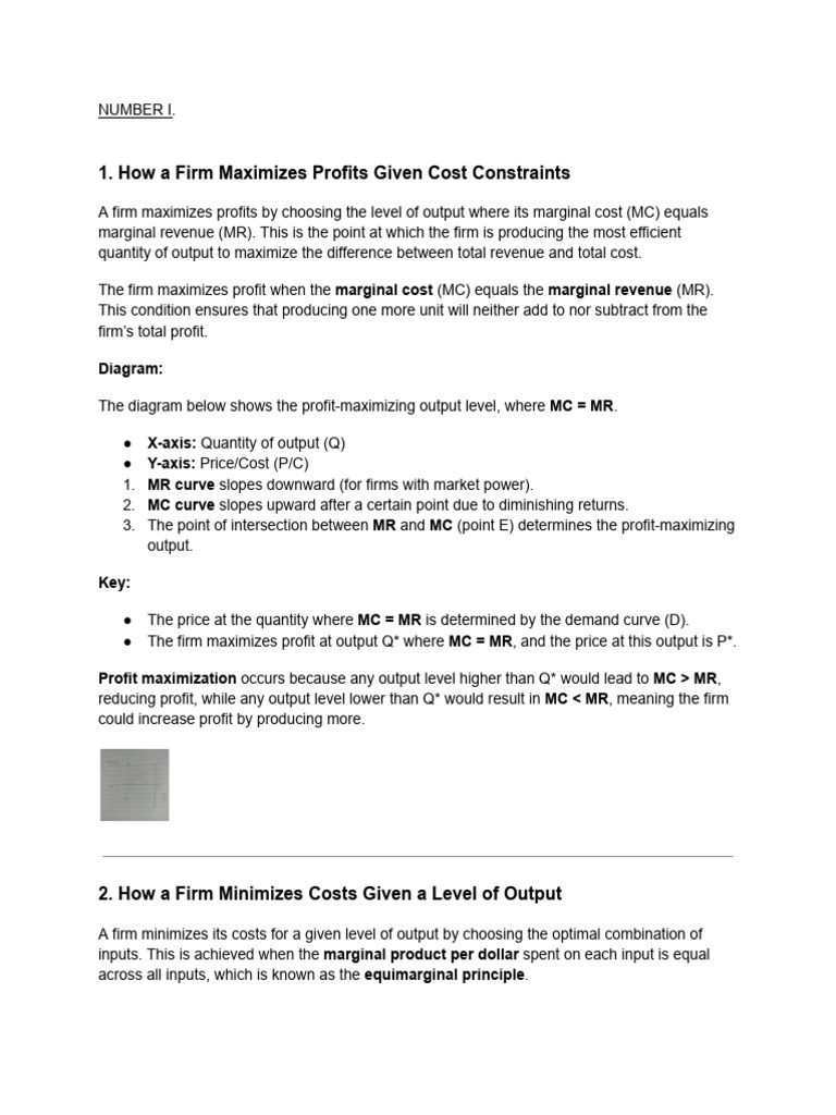 Profit Maximization and Cost Minimization | PDF | Profit (Economics ...