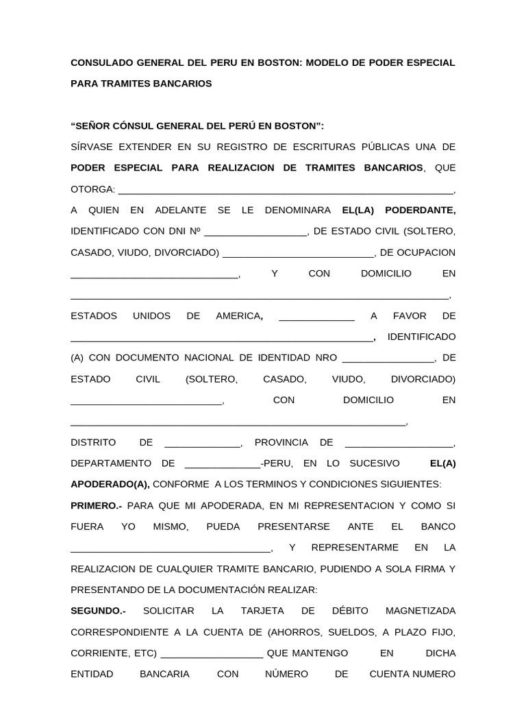 Modelo de Poder Especial Bancario | PDF