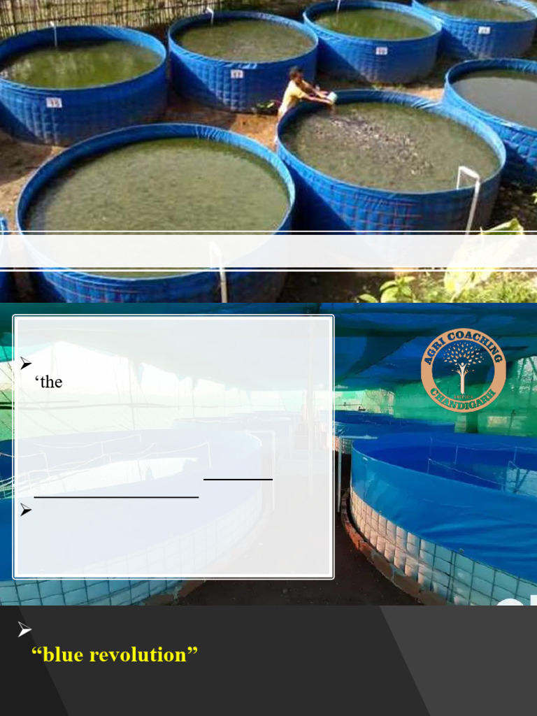 Biofloc Technology | PDF | Aquaculture | Biology