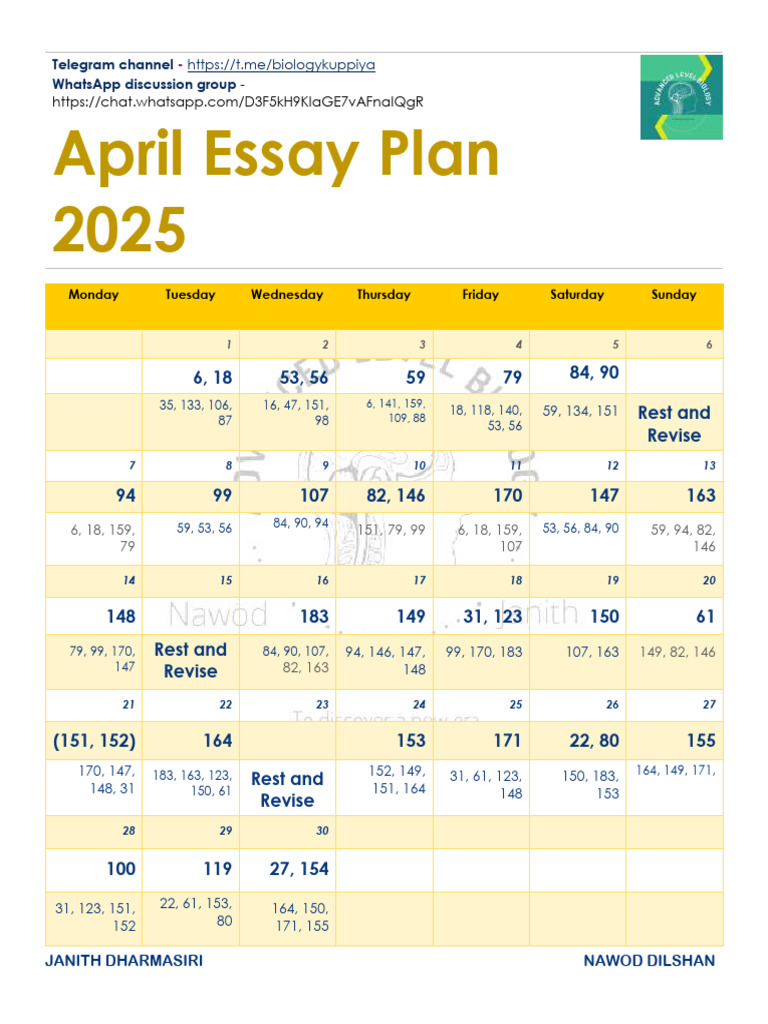 April Essay Plan 2025 | PDF