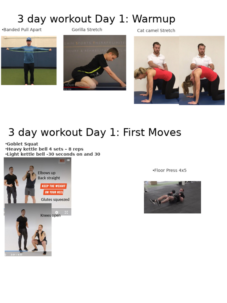 3 Day Workout Day 1 | PDF