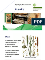 04_Cereal Grain Quality