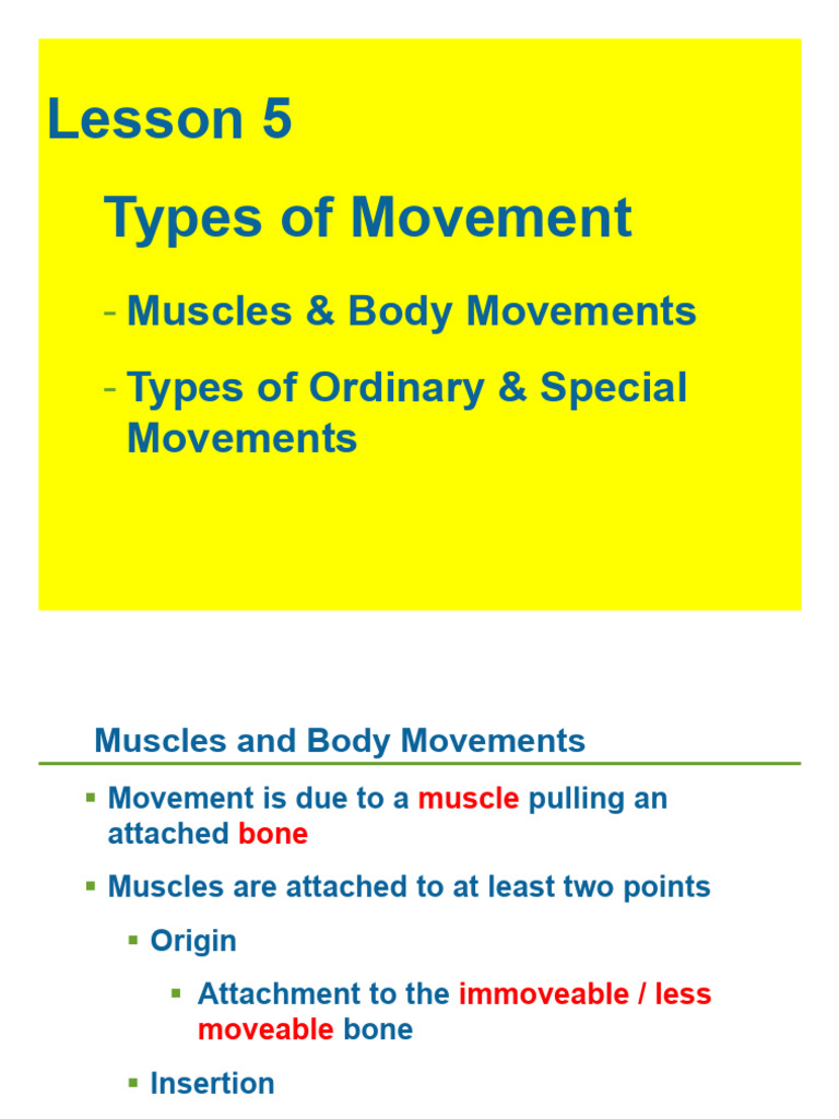 Types of Movement | PDF | Anatomical Terms Of Motion | Primate Anatomy