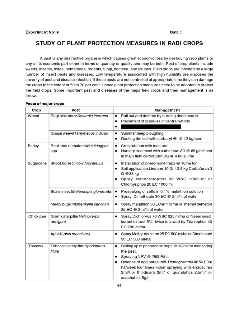 Plant Protection in Rabi Crops Guide | PDF | Pest (Organism) | Pest Control