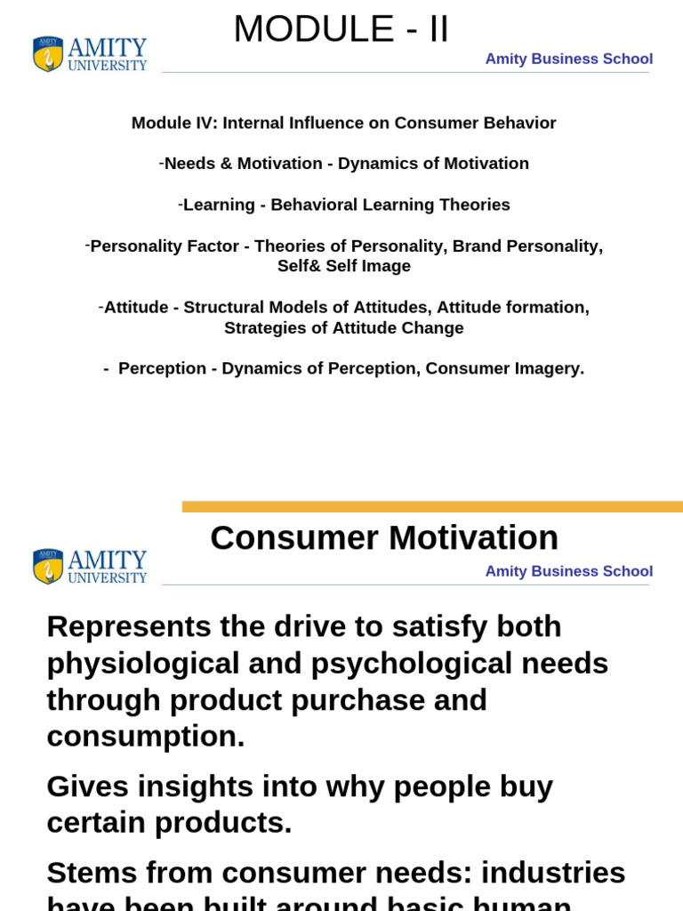 Understanding Consumer Motivation Dynamics | PDF | Motivational ...