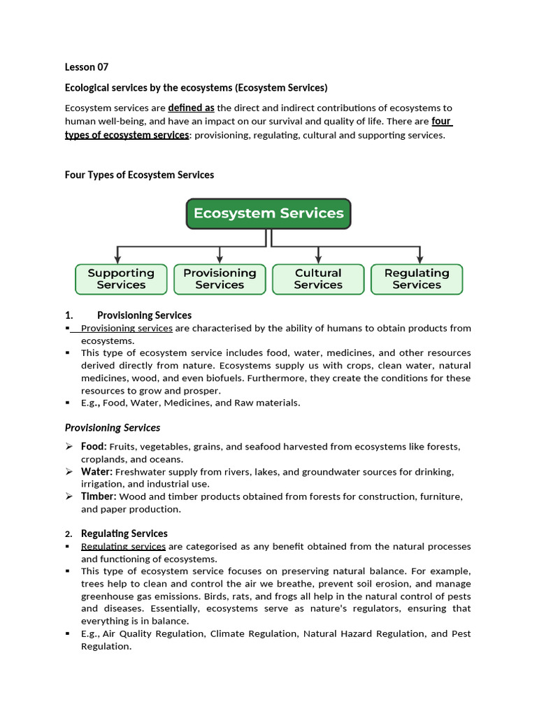 Understanding Ecosystem Services Types | PDF | Ecosystem | Soil