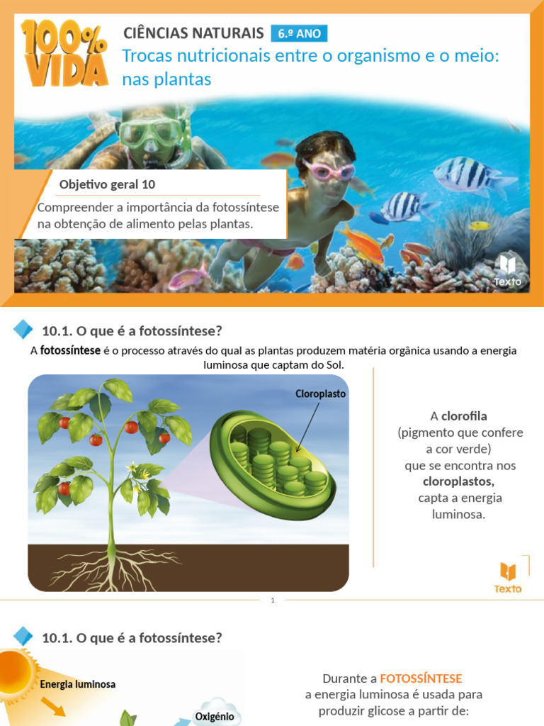 A Fotossíntese e A Obtenção de Alimento Pelas Plantas | PDF ...