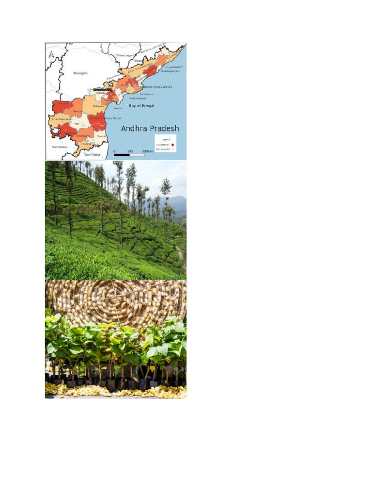 Bhar | PDF
