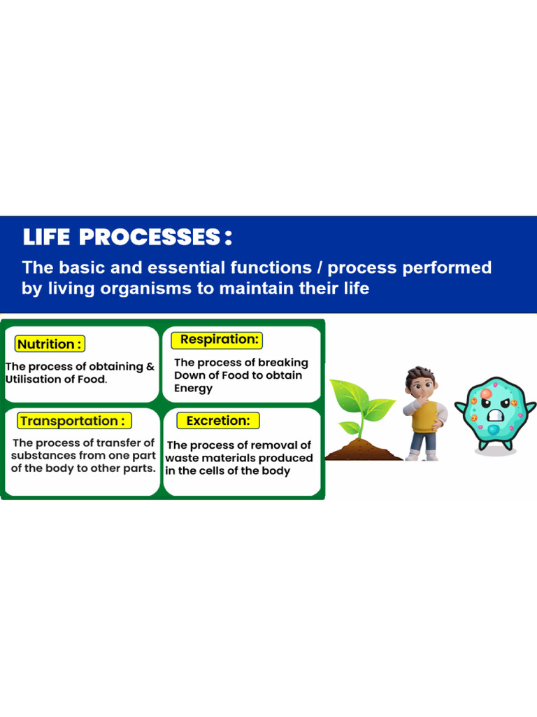 Class Notes Life Processes | PDF