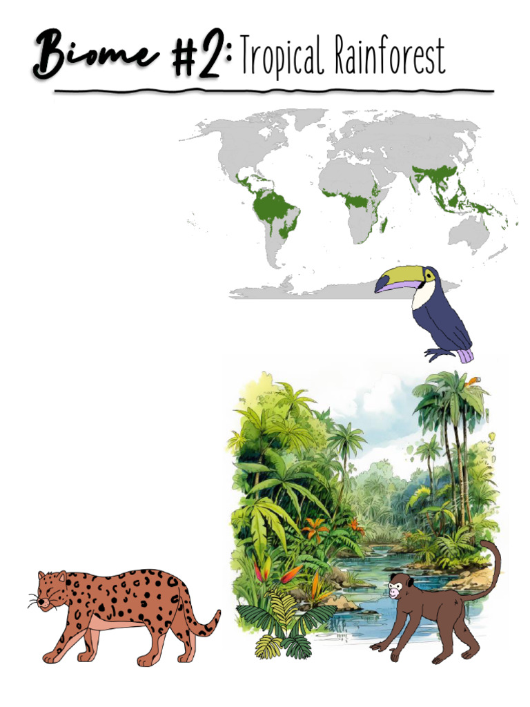 Threats to Tropical Rainforest Biodiversity | PDF
