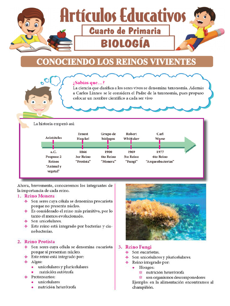 Conociendo Los Reinos Vivientes para Cuarto de Primaria | PDF