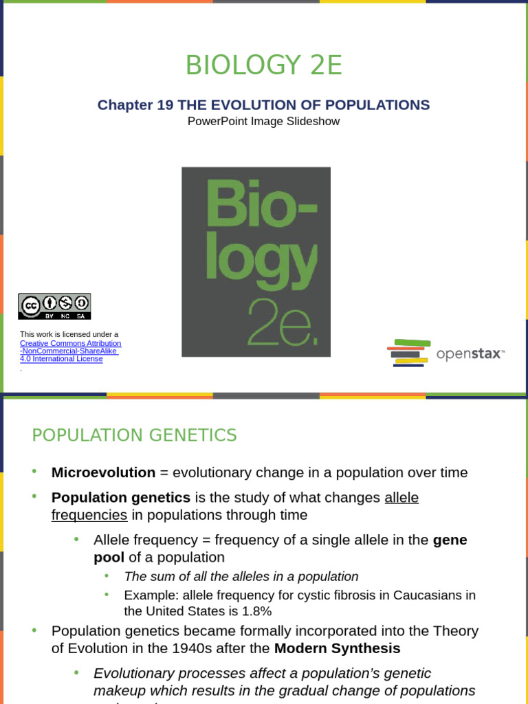 Population Genetics and Evolutionary Forces | PDF | Natural Selection ...