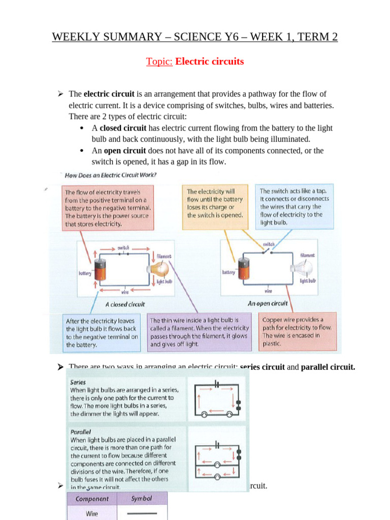 Weekly+summary-Week+1-Term+2 | PDF