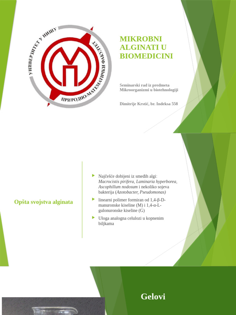 Mikrobni Alginati U Biomedicini | PDF