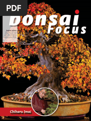Bonsai Focus English Edition September October 2021 | PDF | Bonsai | Trees