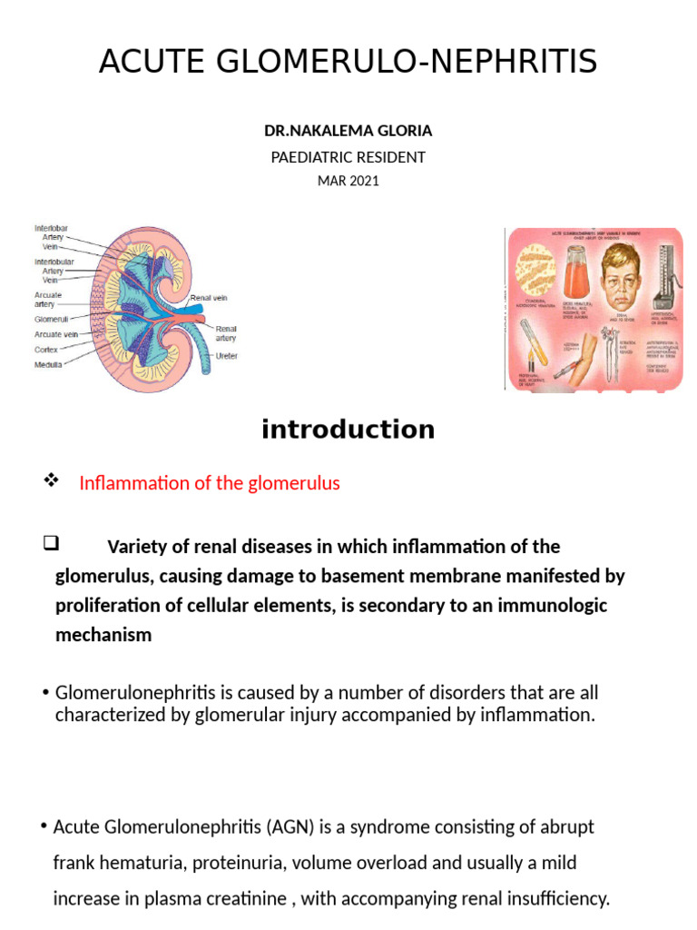 Acute Glomerulonephritis Overview | PDF | Immunology | Medical Specialties
