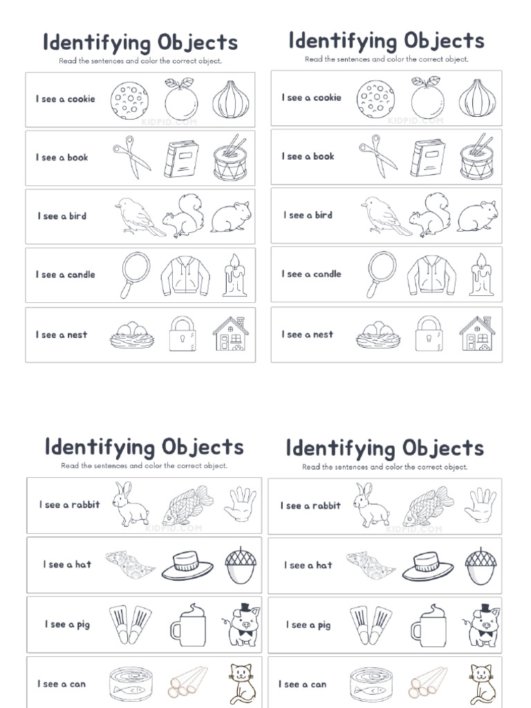 Colors Activity | PDF