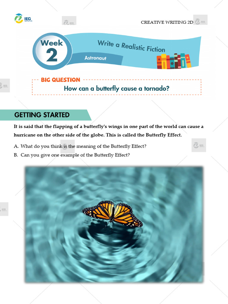 Understanding the Butterfly Effect | PDF
