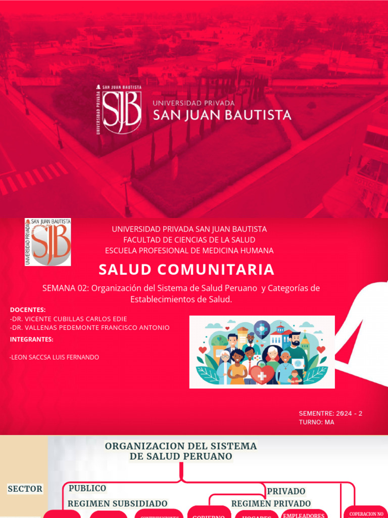 Organización del Sistema de Salud Peruano | PDF | Hospital | Medicina ...