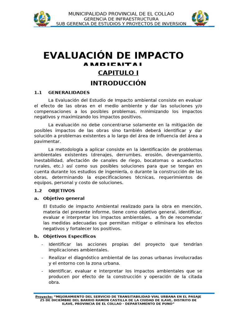 Evaluación de Impacto Ambiental en Ilave | PDF | Evaluación de impacto ...