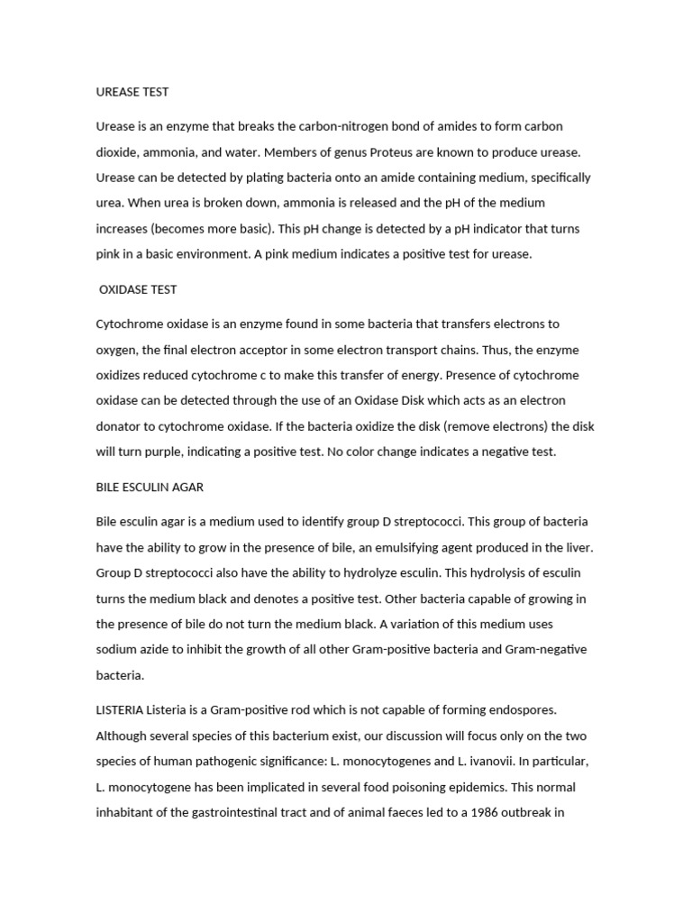 UREASE TEST handout | PDF | Bacteria | Microbiology