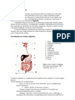 Sistemadigestivo