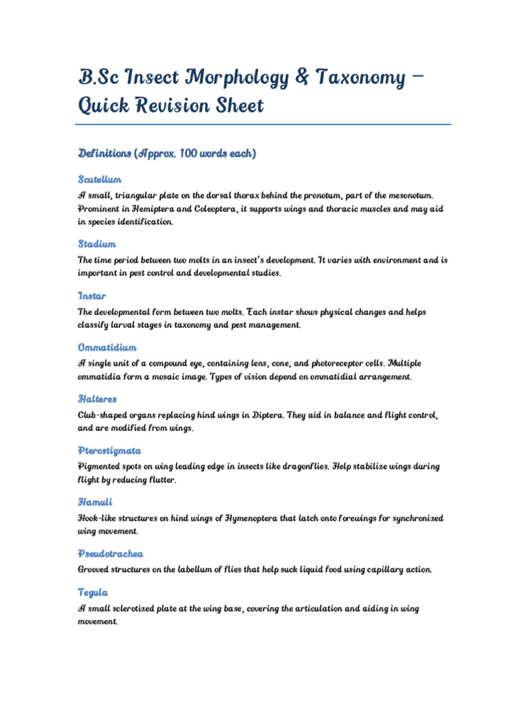 Insect Morphology Revision Complete | PDF | Insects | Beetle