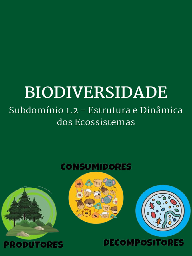 Estrutura e Dinâmica dos Ecossistemas | PDF | Ecossistema | Produção ...