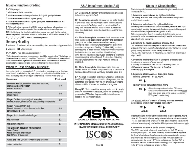 ASIA Impairment Scale Explained | PDF | Anatomical Terms Of Motion ...