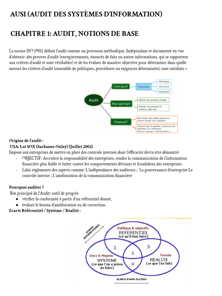 Chapitre 1- Audit, Notions de Base | PDF | Audit | Contrôle interne