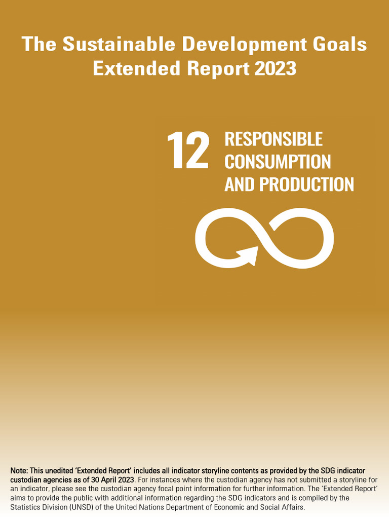 Extended Report - Goal 12 | PDF | Sustainability | Natural Environment