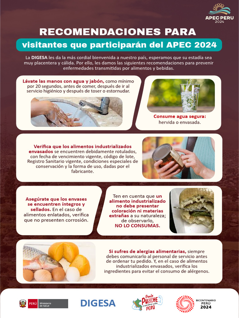 Infografia Apec | PDF