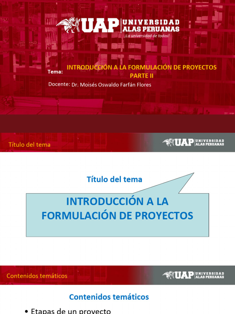 Elementos del perfil de un proyecto | PDF | Presupuesto | Economias
