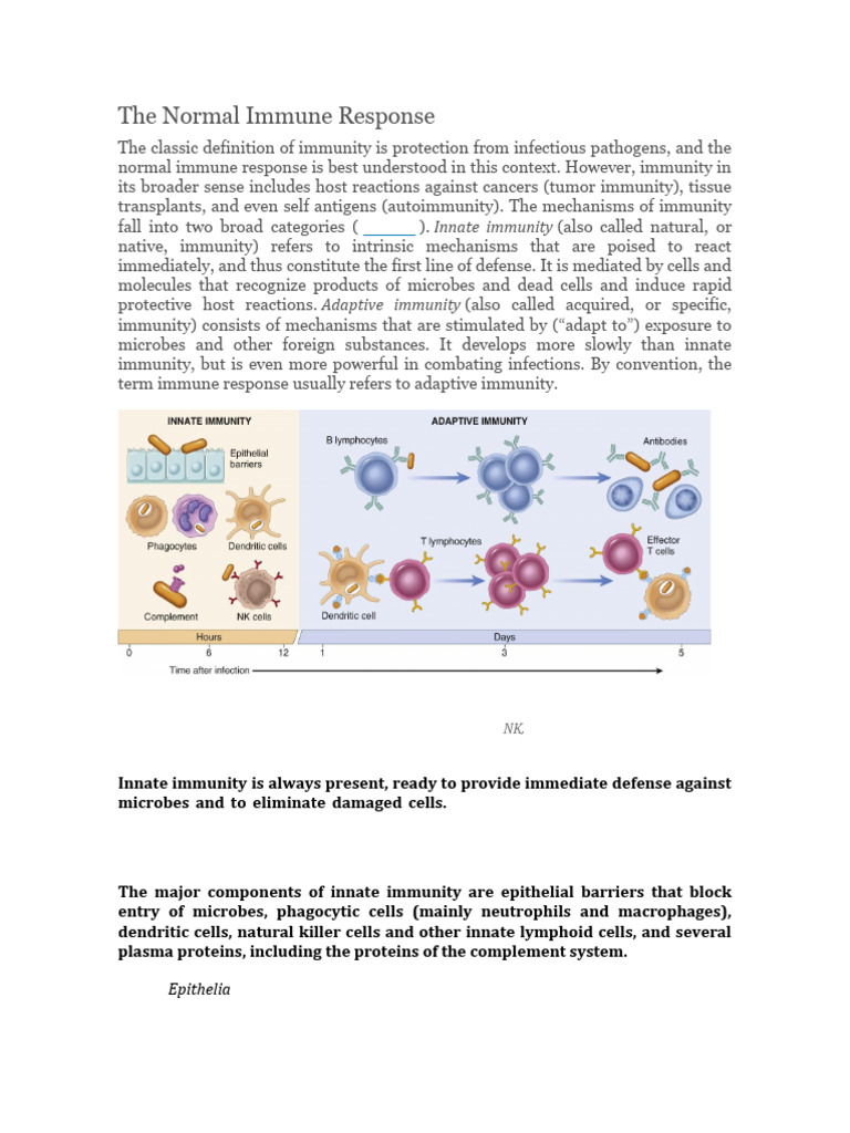 Understanding Normal Immune Response | PDF | Immune System | Lymphocyte